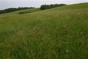 Celkový pohľad na TML