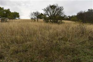 Pohľad na TML v južnej časti