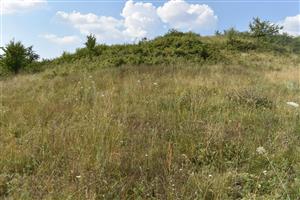 Pohľad na svah v Z časti TML