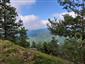 jašterica múrová (12.6.2024)