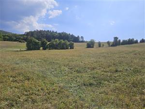 Pohľad na TML smerom na východ.