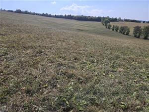 Západná časť TML.