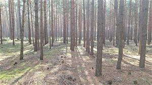 pohľad na lokalitu