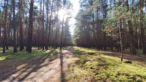 pohľad na lokalitu