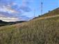 Suchomilné travinnobylinné a krovinové porasty na vápnitom podloží (*dôležité stanovištia Orchideaceae) (22.8.2024)
