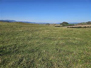 Pohľad na TML, dolný JZ polygón.