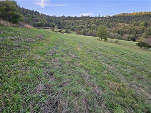 Pohľad na TML smerom na sever.