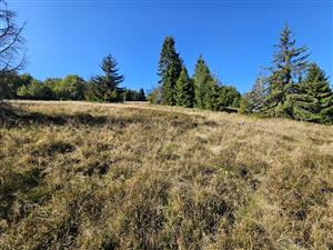 Pohľad na TML zo spodného (V) okraja.