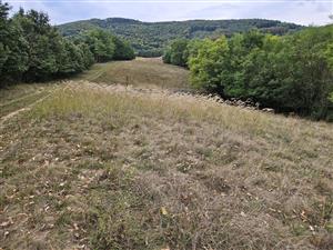 Stredná časť TMl, pohľad smerom na J.