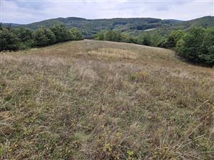 Pohľad na TML zo S cípu smerom na juh.