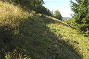 Pohľad na TML, kosenie lokality.