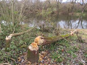 pohľad na TML Sučany