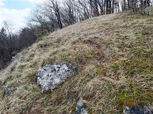 Biotop Tr5 so Sesleria albicans s Pulsatilla subslavica