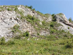 Foto lokality: TML_008_2024_06.28.