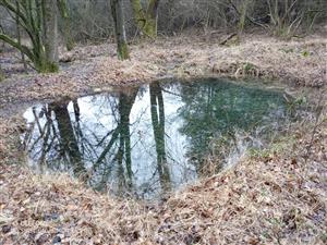 Mitická slatina - vodná plocha bez znášok
