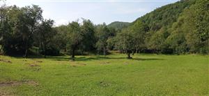 pohľad na TMP č. 2