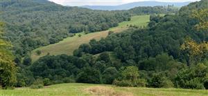 pohľad na TML z TMP č.1