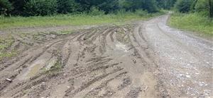 zazemňovanie, zánik biotopu