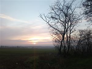 Pohľad na hornú časť TML Maňa, H.Gedra, Hronská pahorkatina. Foto: J.Lengyel, 4.12.2024.