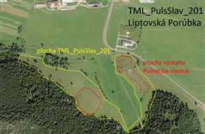 Mapka TML_PulsSlav_201 s plochami výskytu Pulsatilla slavica