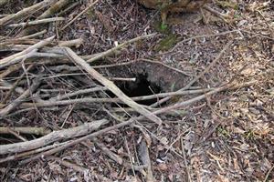 Ostatné pobytové znaky - nora