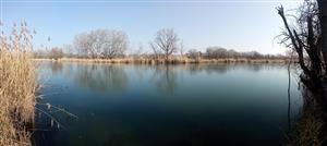 Pohľad na centrálnu časť TML Virtské jazero. Foto: 11.2.2025, J.Lengyel.