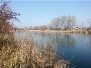 Pohľad na severnú časť TML Virtské jazero. Foto: 11.2.2025. J.Lengyel.