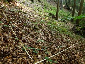 plocha 4x5m
