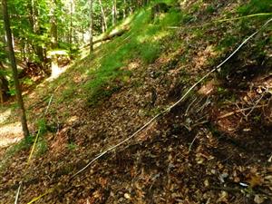plocha 4x5m