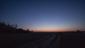 sova lesná (obyčajná) (6.3.2025)
