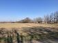 sova lesná (obyčajná) (22.2.2025)