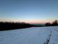 sova lesná (obyčajná) (18.3.2025)