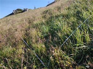 plocha 20x5m