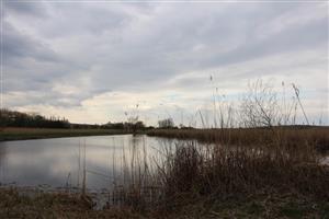 Pohľad na JV močiarne jazero, TML Parížske močiare, foto: J.Lengyel.