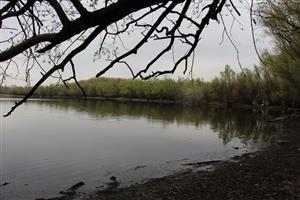 Pohľad na časť TML Vodný mlyn Kolárovo, bývalé mater. jamy. Foto: 2.4.2025, J.Lengyel.