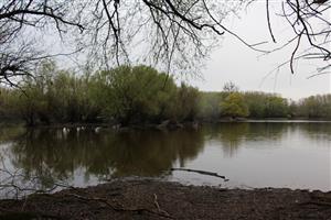 Pohľad na TML Vodný mlyn Kolárovo, bývalé mater. jamy. Foto: J.Lengyel, 2.4.2025.