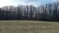 sova lesná (obyčajná) (4.4.2025)