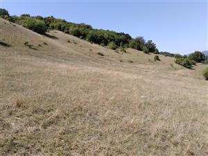 Pohľad na lokalitu z východnej strany