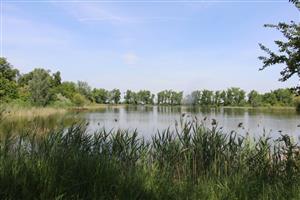 Pohľad na južnú a centrálnu časť TML Tvrdošovce, VN Tvrdošovce. Foto: 14.5.2025, J.Lengyel.