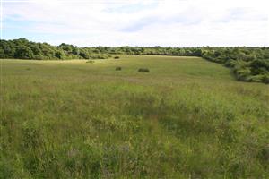 Celkový pohľad na biotop v smere SV
