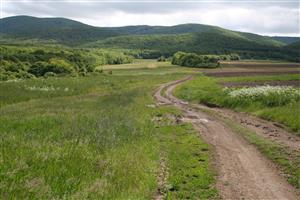 Celkový pohľad na biotop v smere východ