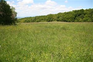 Celkový pohľad na biotop v smere západ