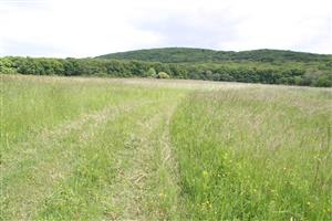 Celkový pohľad na biotop v smere východ