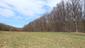 sova lesná (obyčajná) (16.3.2025)