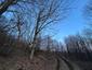 sova lesná (obyčajná) (12.4.2025)
