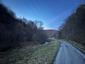sova lesná (obyčajná) (12.4.2025)