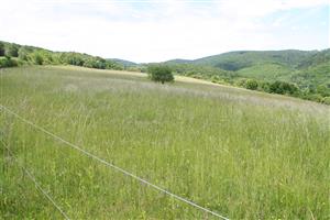 Celkový pohľad na biotop v smere sever