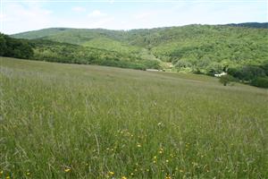 Celkový pohľad na biotop v smere severovýchod