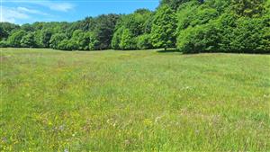 Záber na monitorovaný biotop. 