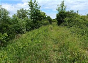 aktuálny stav najpriaznivejšej časti TML